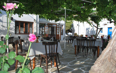Πλακόστρωτη αυλή με κληματαριά